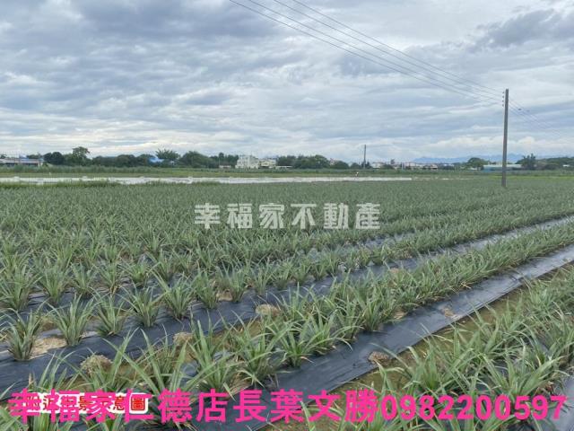 台南農地-8