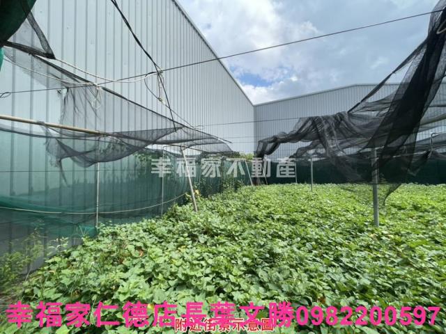 台南保護區-13