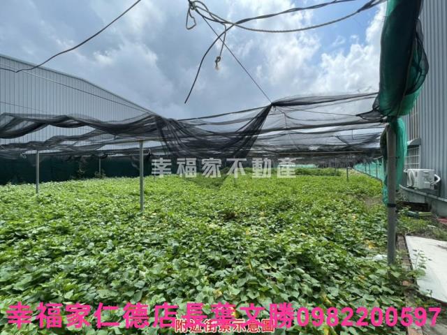 台南保護區-8