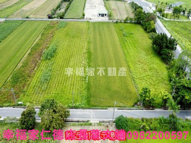 台南善化農地-0