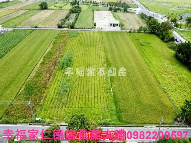 台南善化農地-3