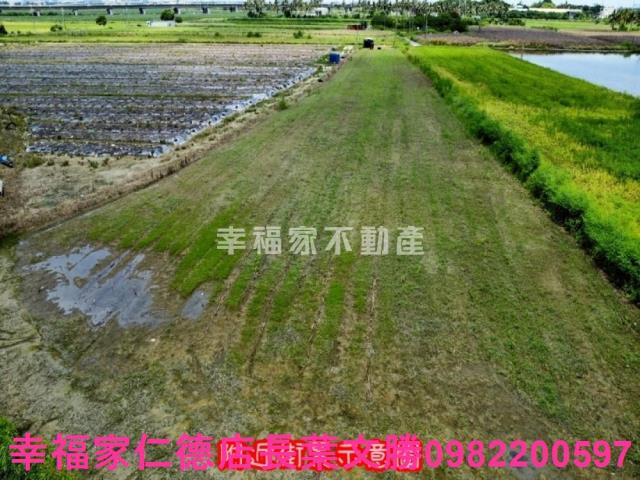 台南新市農地-10