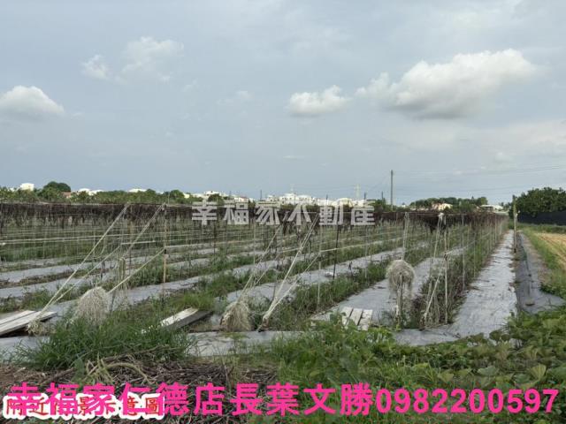 台南官田農地-0