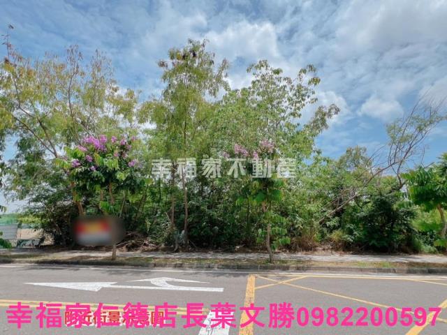 台南新營工業地-13