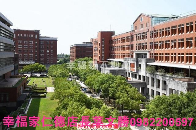 龍崎農地-11