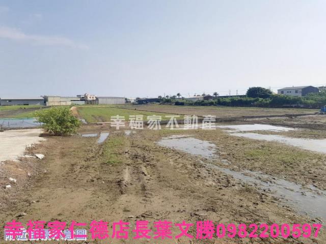安南農地-12