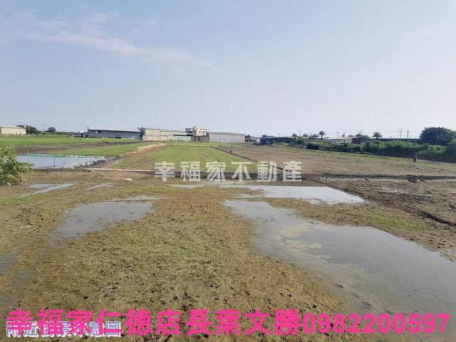 安南農地-14