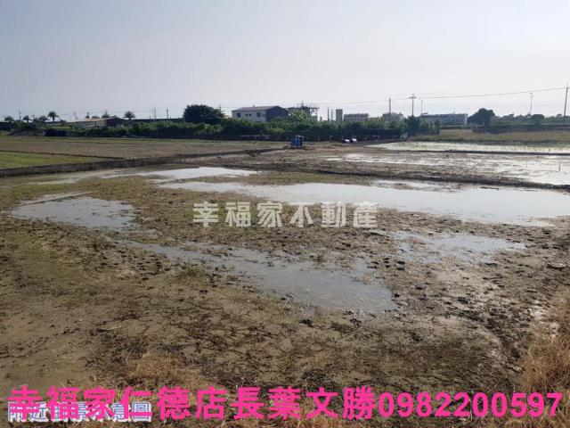 安南農地-1