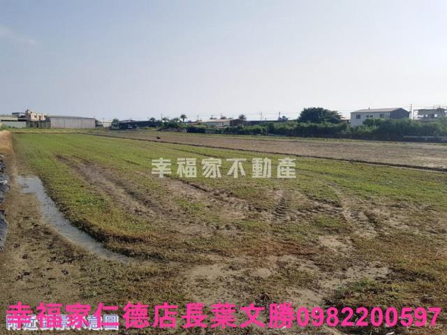 安南農地-6