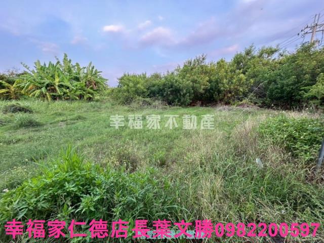 安南農地-11
