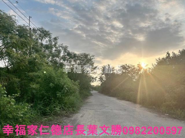 安南農地-1