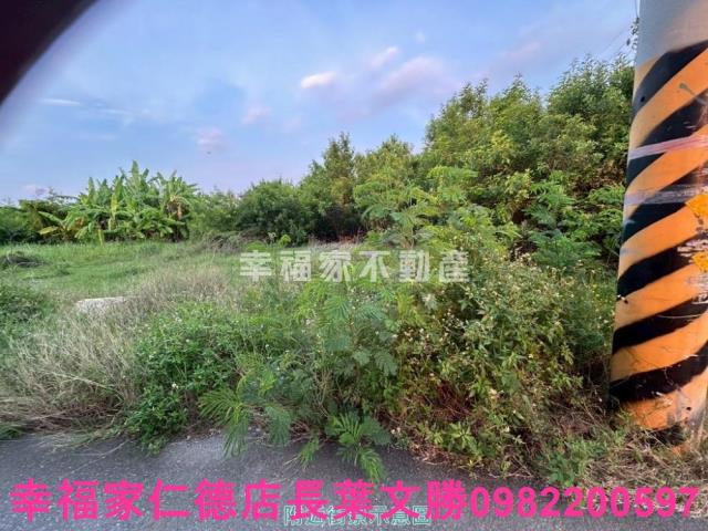 安南農地-4