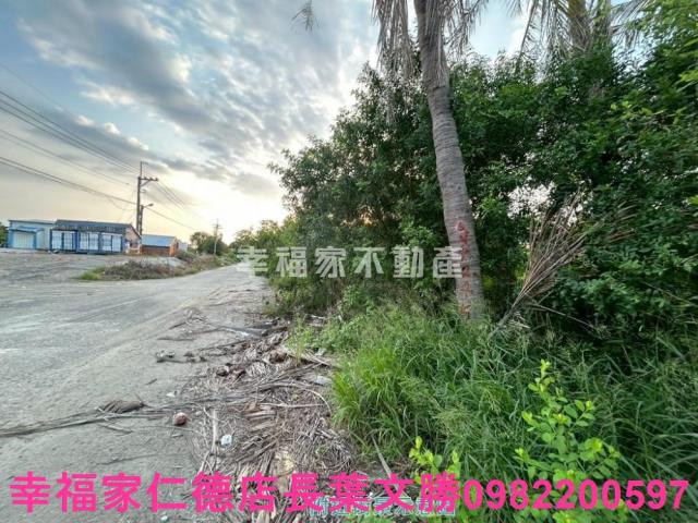 安南農地-7