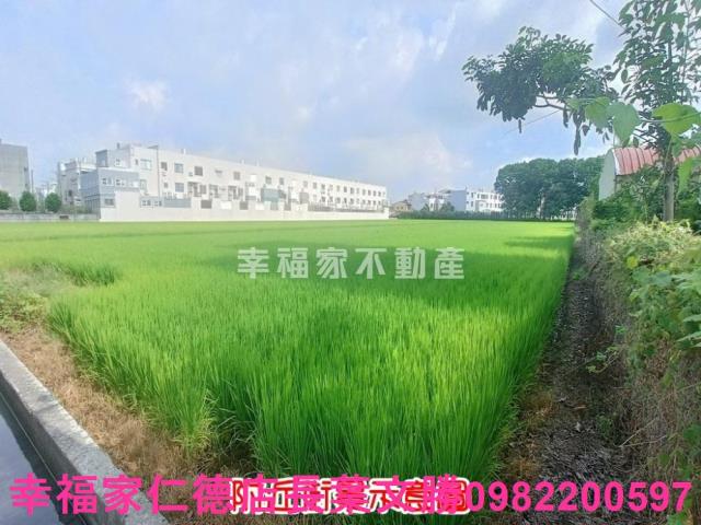 六甲農地-9