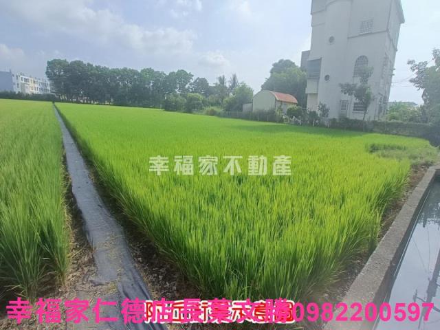 六甲農地-13