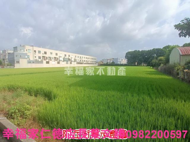 六甲農地-14