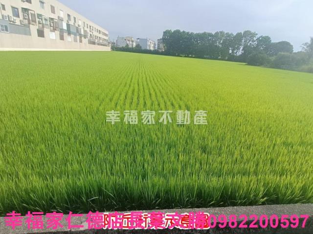 六甲農地-5