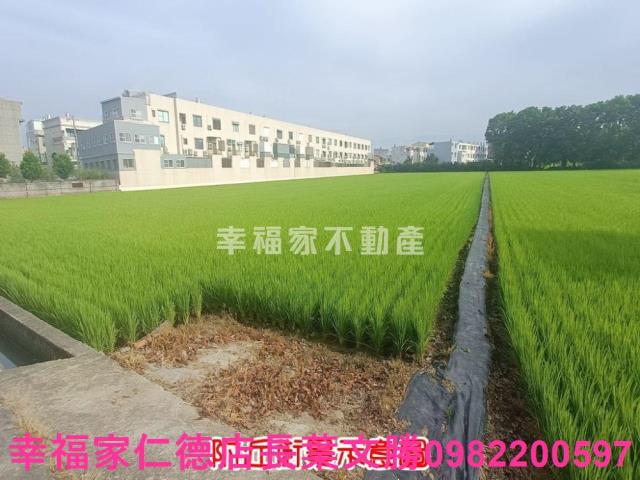 六甲農地-8