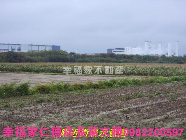 新市農地-10