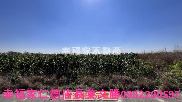 新營農地-0