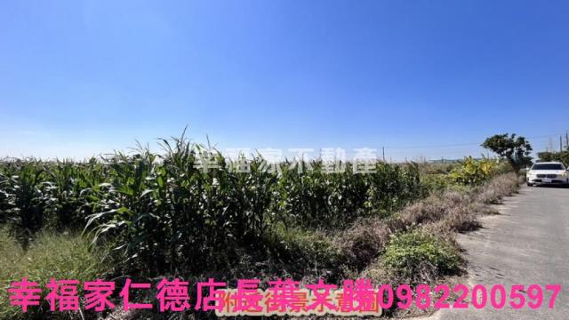 新營農地-5