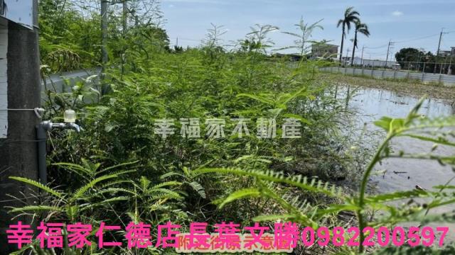 安定農地-10