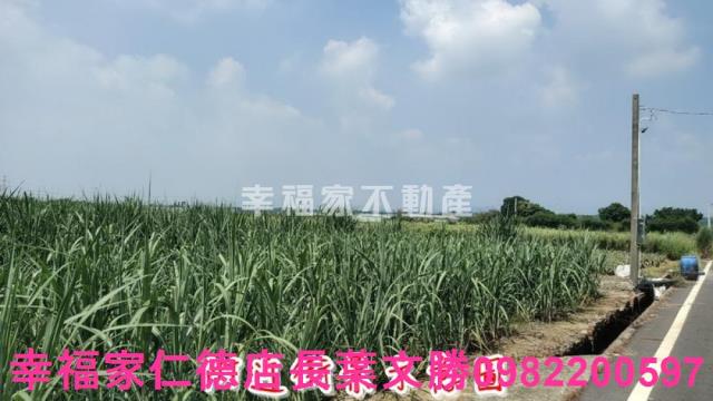 善化農地-9