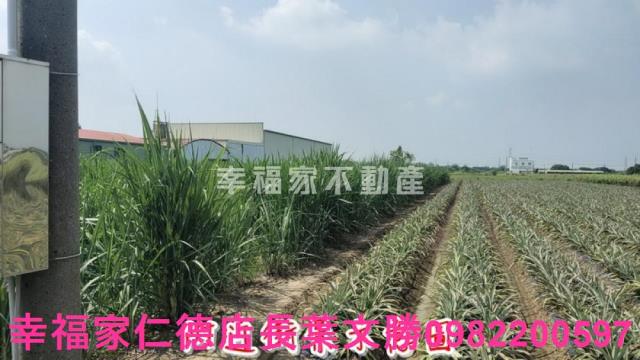 善化農地-10