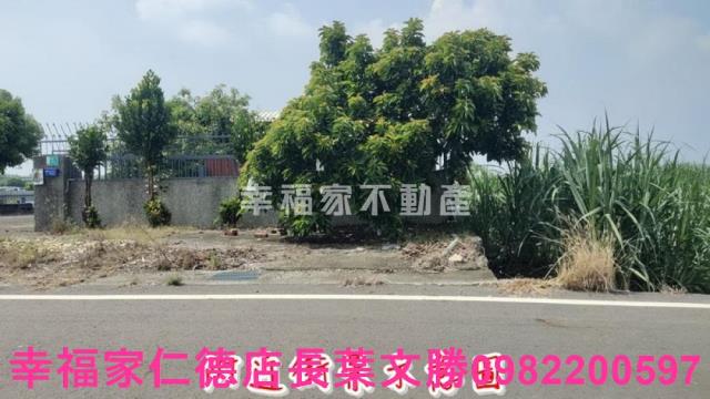 善化農地-14