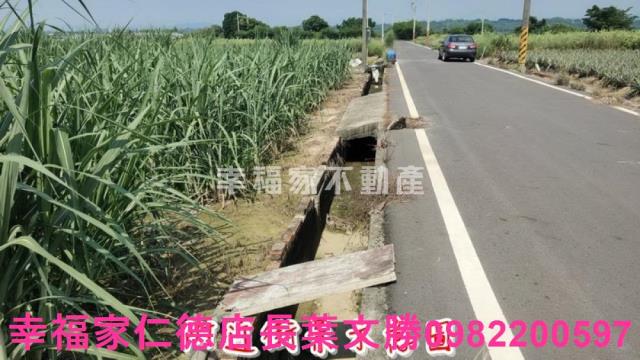 善化農地-1