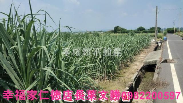 善化農地-2