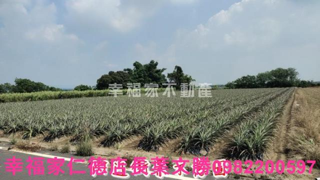 善化農地-5