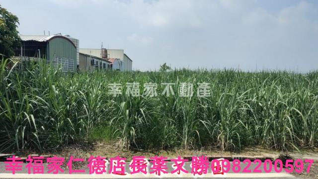 善化農地-8