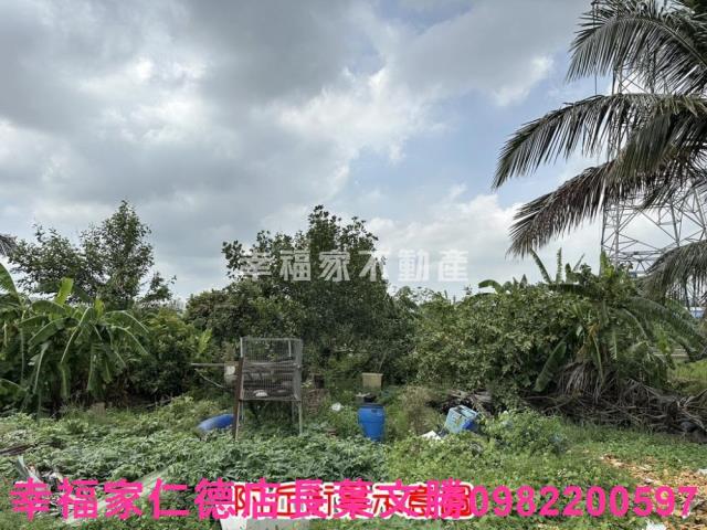 善化農地-6