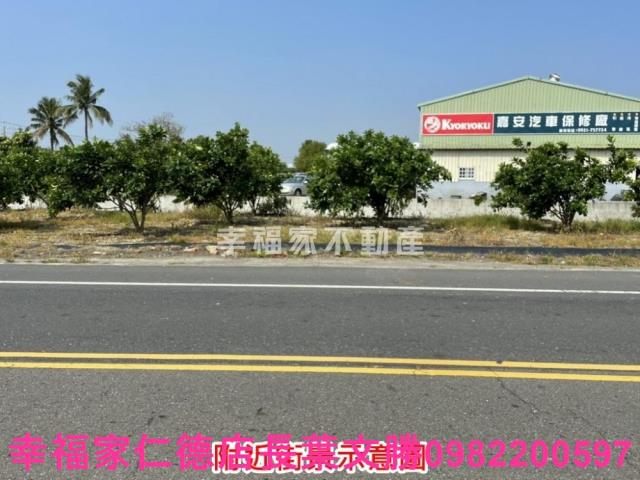 麻豆農地-9