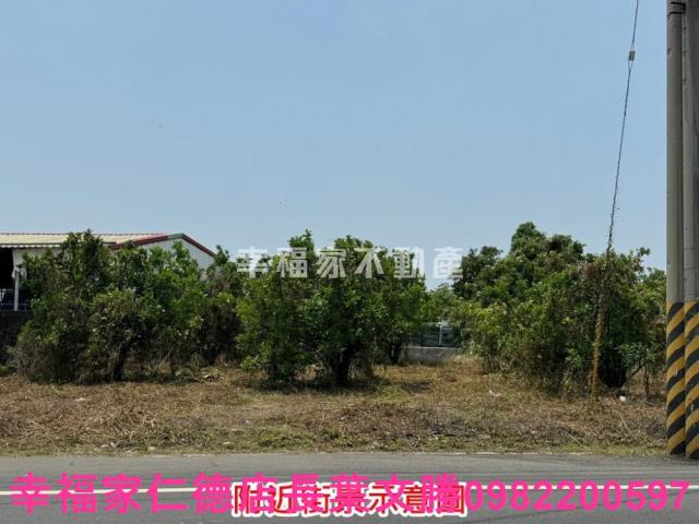 麻豆農地-11