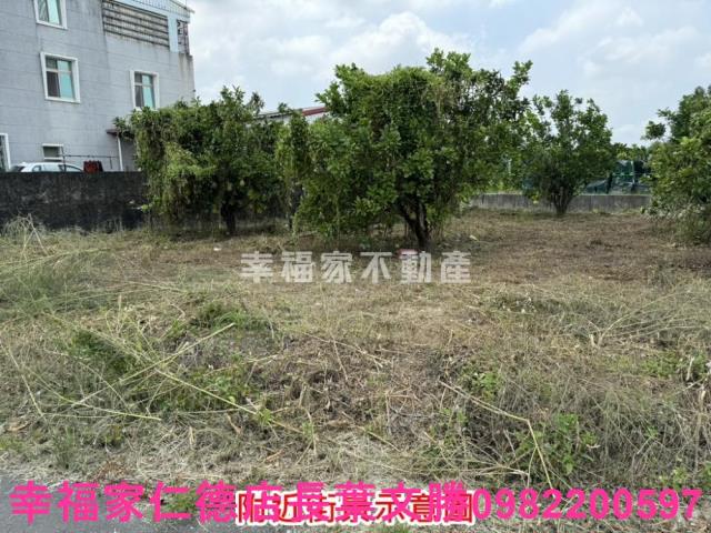 麻豆農地-12