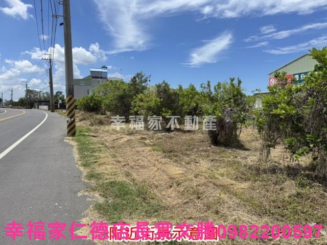 麻豆農地-2