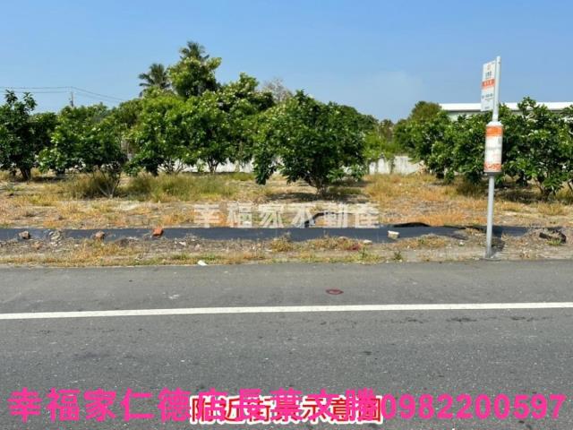 麻豆農地-7