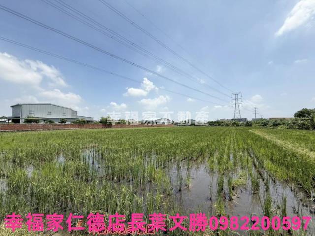 台南農地-9