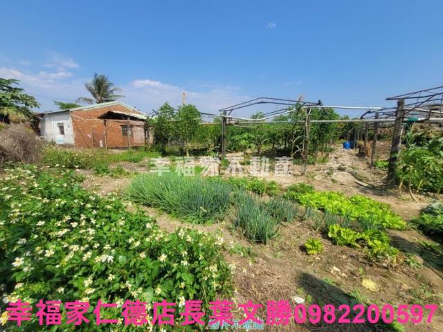台南仁德農地-8