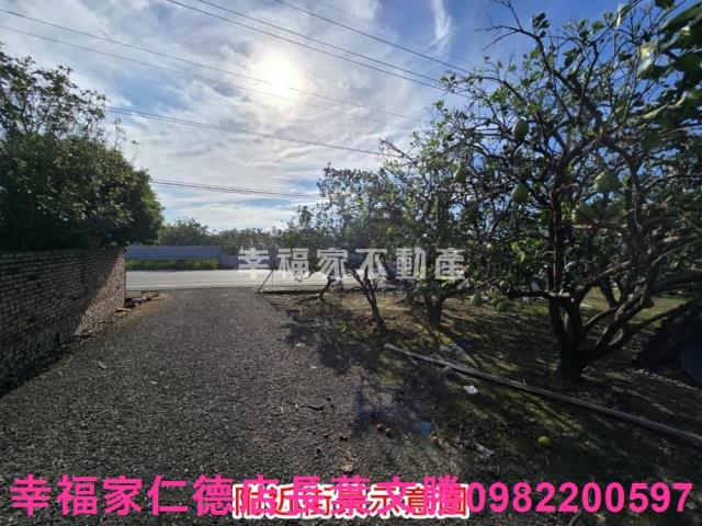 麻豆農地-11