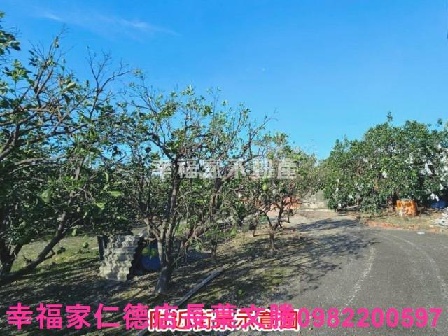 麻豆農地-3