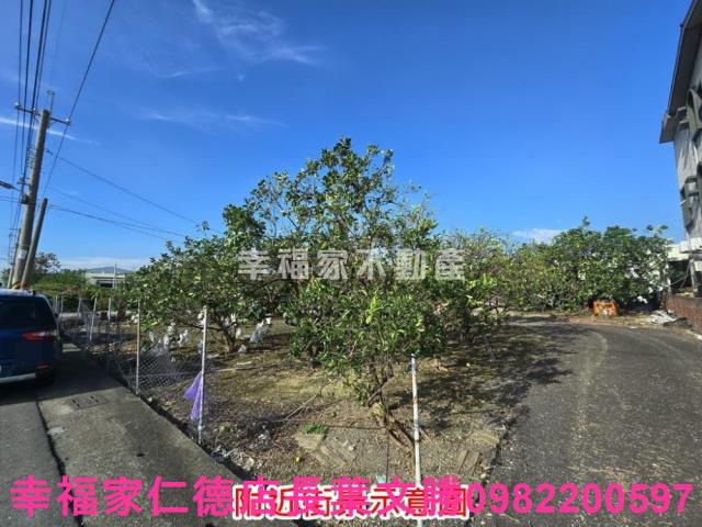 麻豆農地-4