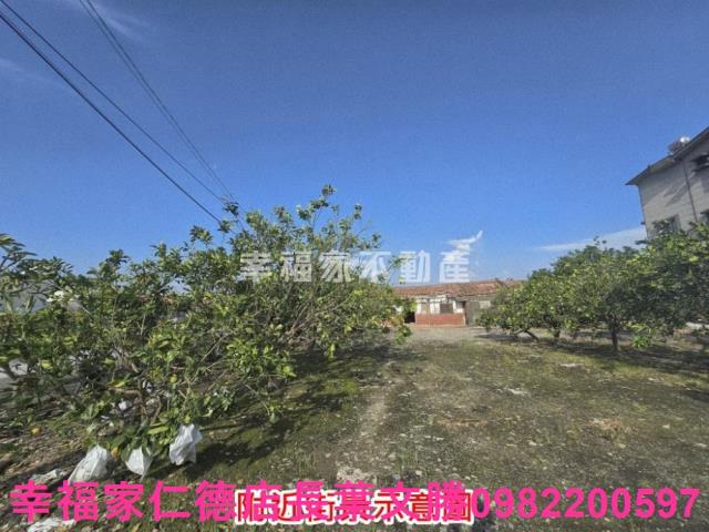 麻豆農地-7