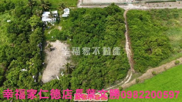 安南農地-7