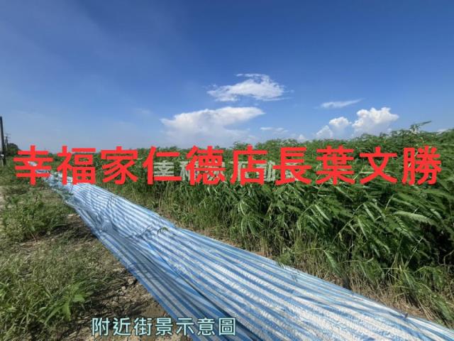 台南善化農地-10