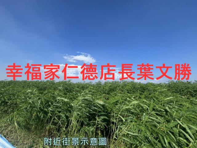 台南善化農地-0