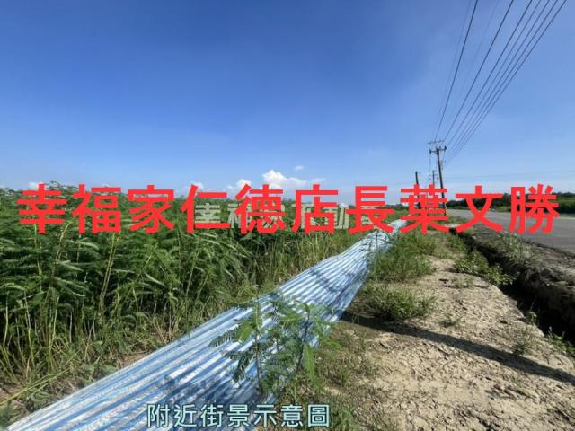 台南善化農地-8