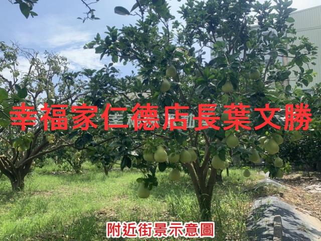台南麻豆農地-0
